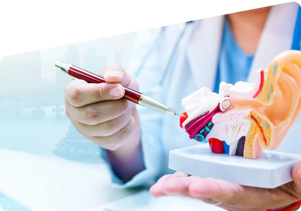 How to Choose the Best ENT Doctor in Abu Dhabi