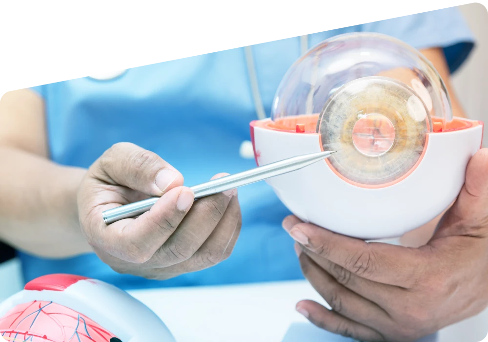 Cornea of Eye: Function, Common Problems, and Treatment Guide